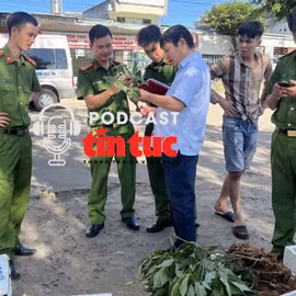 Tin nóng trong nước nghe nhanh sáng 20/12