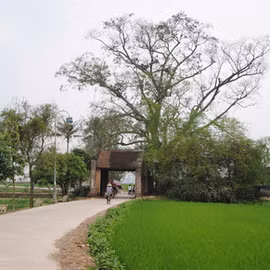 Cổng làng