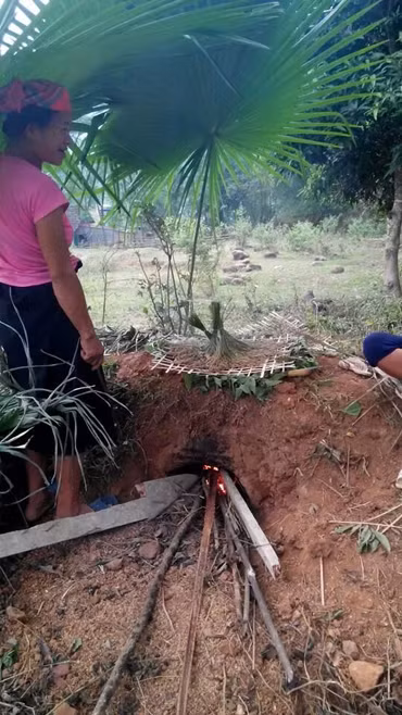 Ngọt thơm hương cốm vùng cao ảnh 2