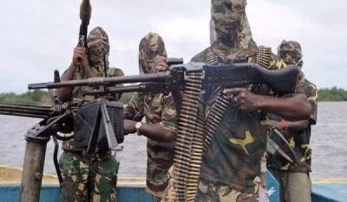 Phiến quân Boko Haram bắt cóc 25 con tin nữ ảnh 1