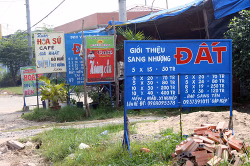 Cảnh giác với đất nền giá rẻ ảnh 1