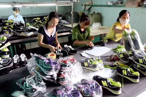 Doanh nghiệp phải biết kiện tự vệ, chống bán phá giá ảnh 1