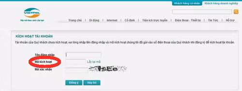 Hướng dẫn nạp tiền Viettel online cho iPad ảnh 4
