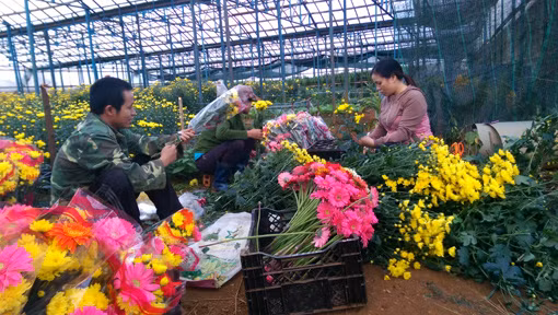 Lối thoát nghèo của Kon Plông ảnh 1