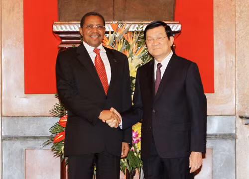 Chủ tịch nước hội đàm với Tổng thống Tanzania ảnh 1