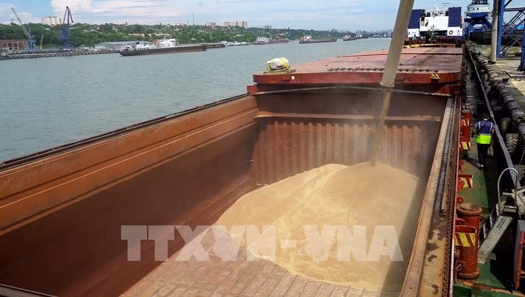 Vận chuyển lúa mì lên tàu hàng tại cảng quốc tế Rostov-on-Don để chuyển tới Thổ Nhĩ Kỳ. Ảnh: AFP/TTXVN (Không cho phép bên thứ ba khai thác, sử dụng lại)