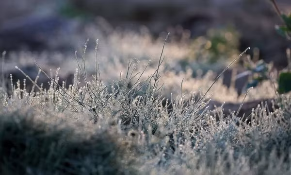 El Niño có thể khiến mùa Đông Hàn Quốc biến động khó lường