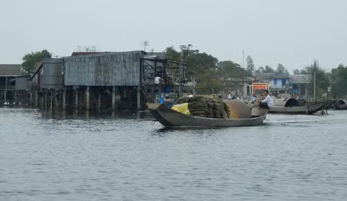Để bình yên trên phá Tam Giang ảnh 1