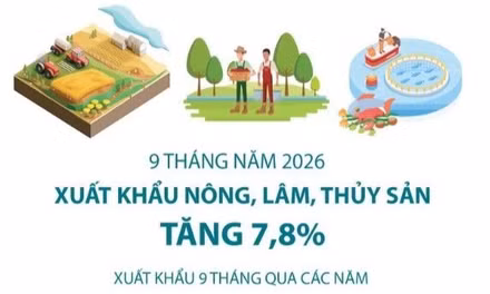 9 tháng năm 2026: Xuất khẩu nông, lâm, thủy sản tăng 7,8%