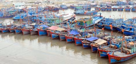 Thông báo cho hơn 40.000 tàu, thuyền biết vị trí bão ảnh 1