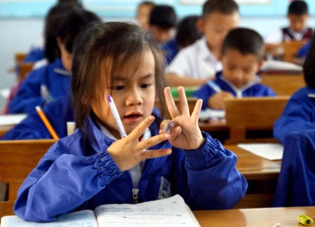 Hà Nội cấp phép trường chất lượng cao ảnh 1
