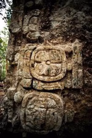 Phát hiện một thành phố cổ Maya ảnh 5