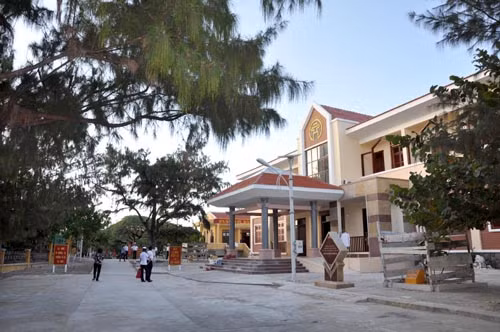 Sức sống Trường Sa ảnh 3