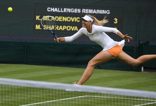 Những câu chuyện 'tiền Wimbledon' ảnh 1