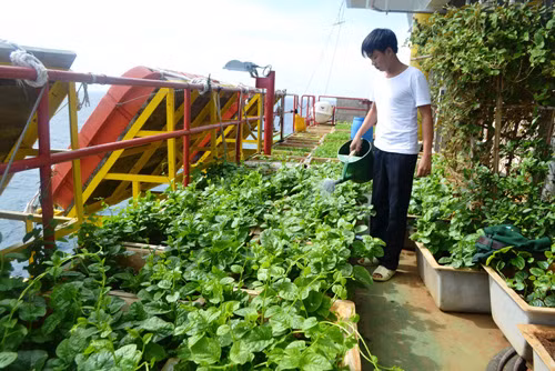 Lính biển canh trời ảnh 2