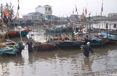  Các tỉnh sẵn sàng ứng phó với bão số 2 ảnh 1