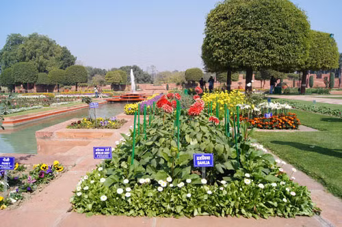Mughal Gardens – xứ sở của cây và hoa ảnh 3