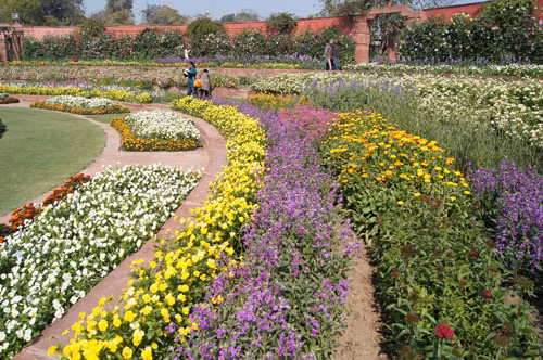 Mughal Gardens – xứ sở của cây và hoa ảnh 5