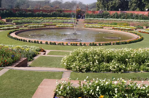 Mughal Gardens – xứ sở của cây và hoa ảnh 7