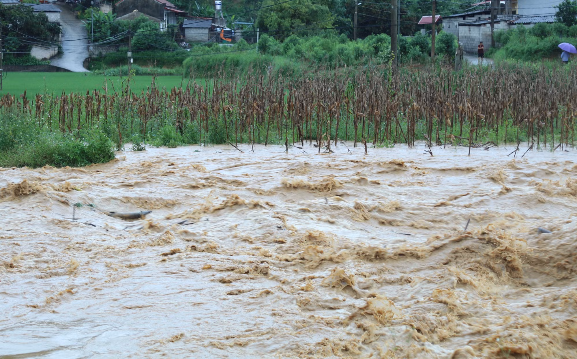 lang-son-220825-1.jpg