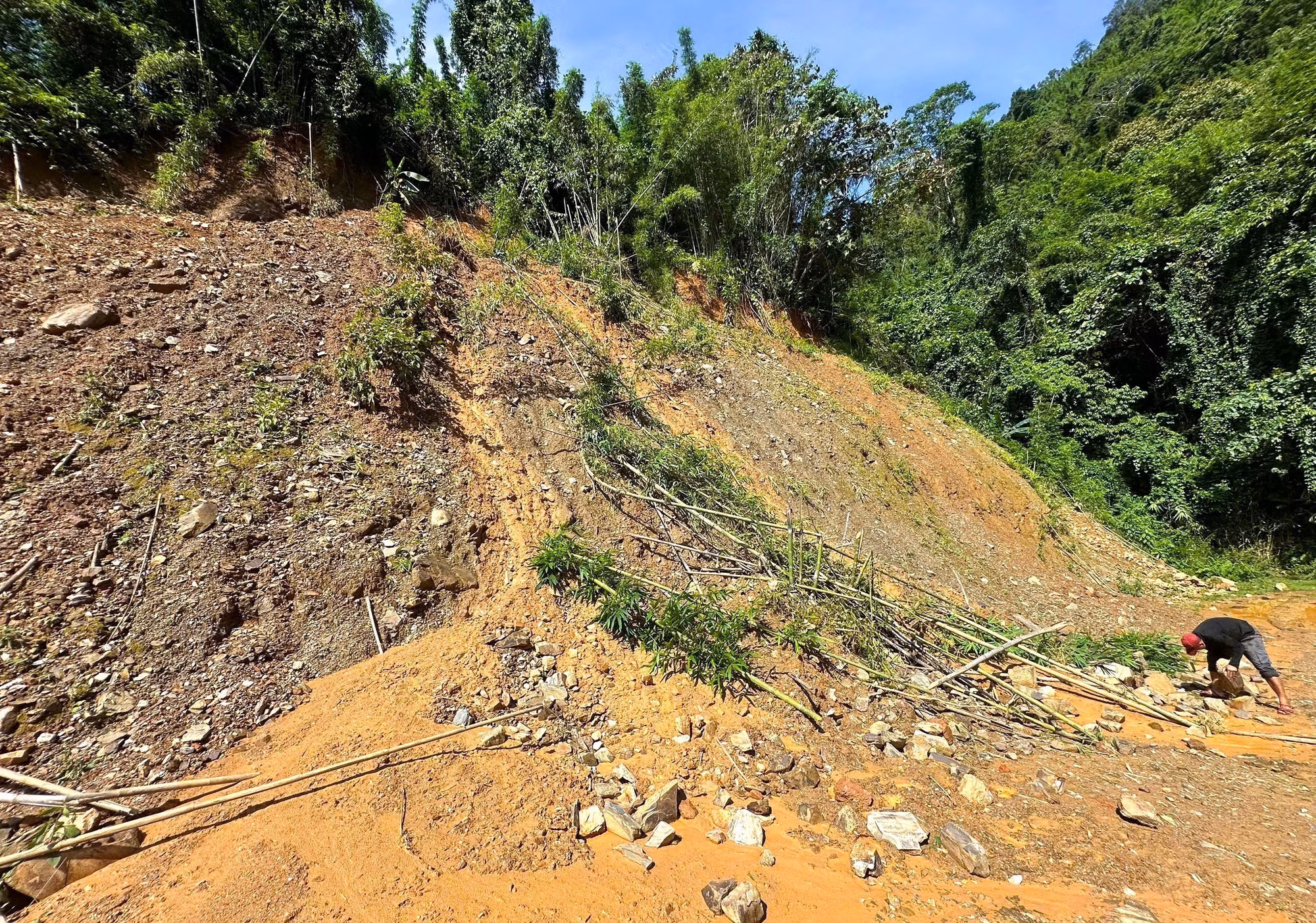 na-ngan-0908260-2.jpg