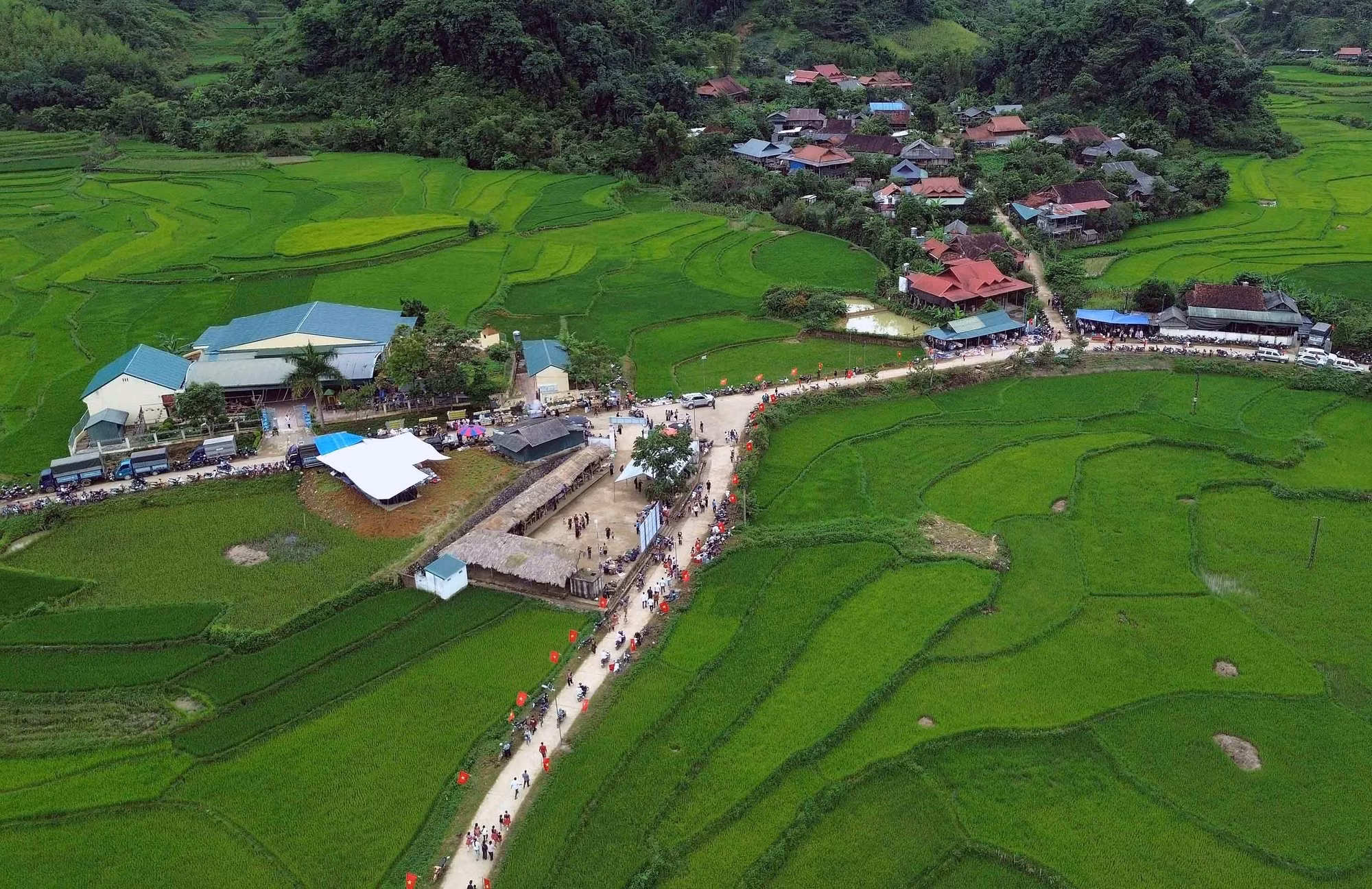 Cánh đồng lúa xanh mướt tao nên khung cảnh bình yên ở Mường Lựm, xã Chiềng Hặc.