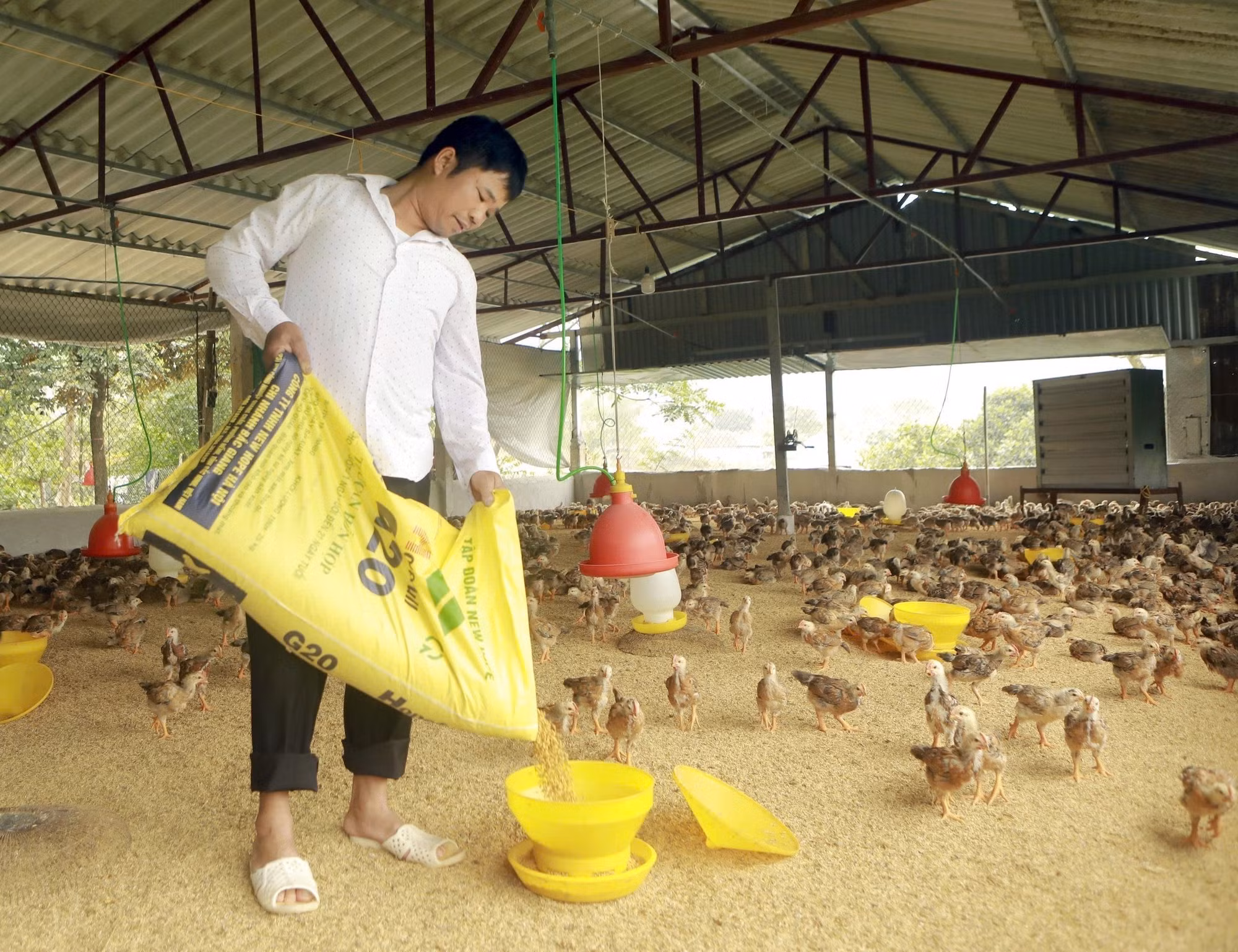 dan-toc-thieu-so-210326-1.jpg