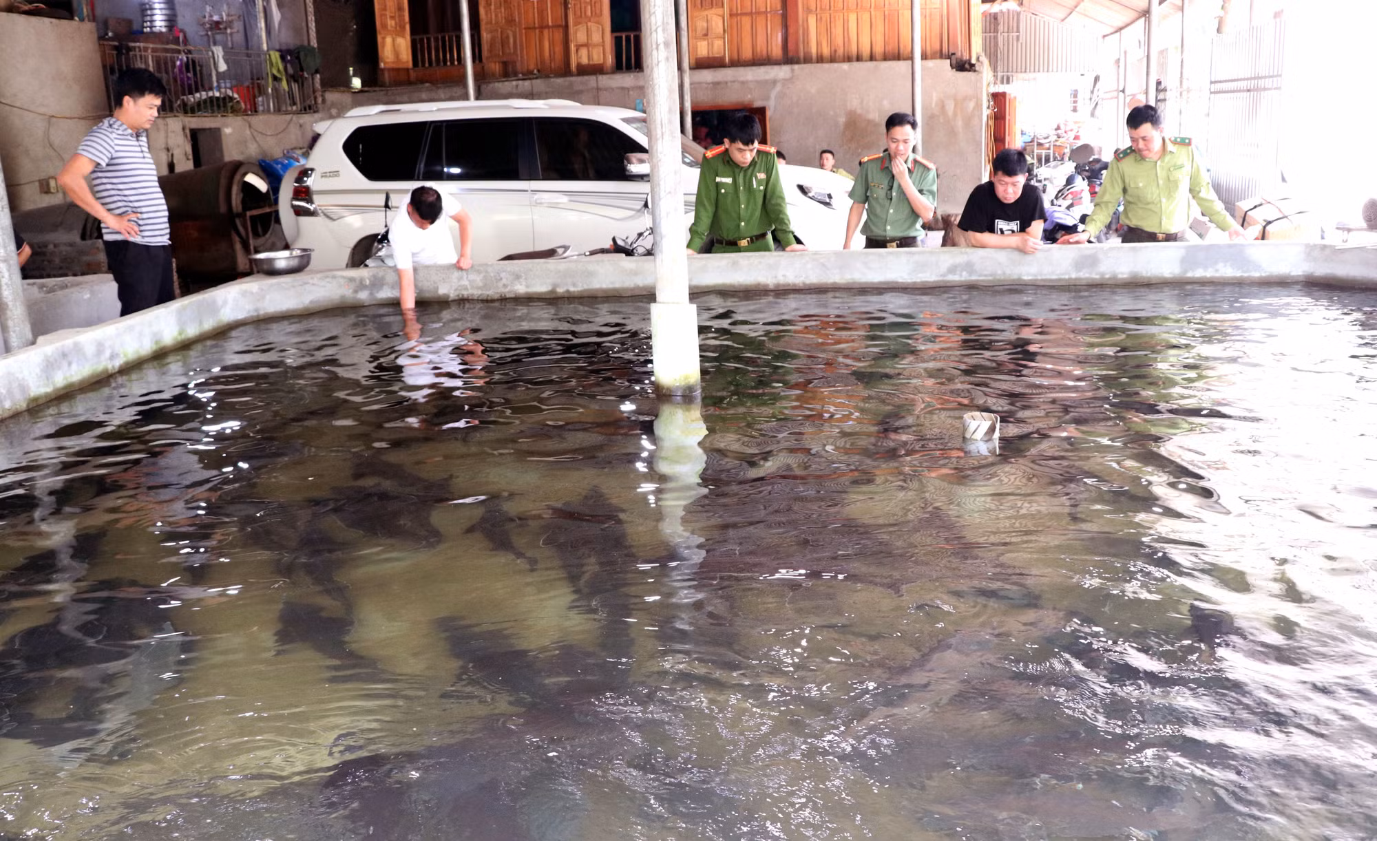 Cơ sở nuôi cá tầm của ông Bàn Văn Đằng, người dân tộc Dao (xã Thanh Thủy, Tuyên Quang).