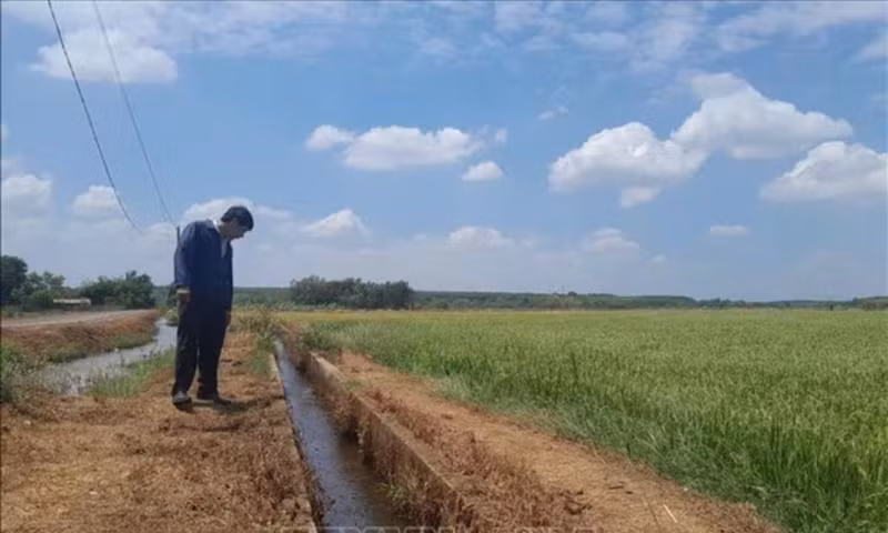 Chủ động ứng phó nguy cơ thiếu nước do ảnh hưởng của El Nino