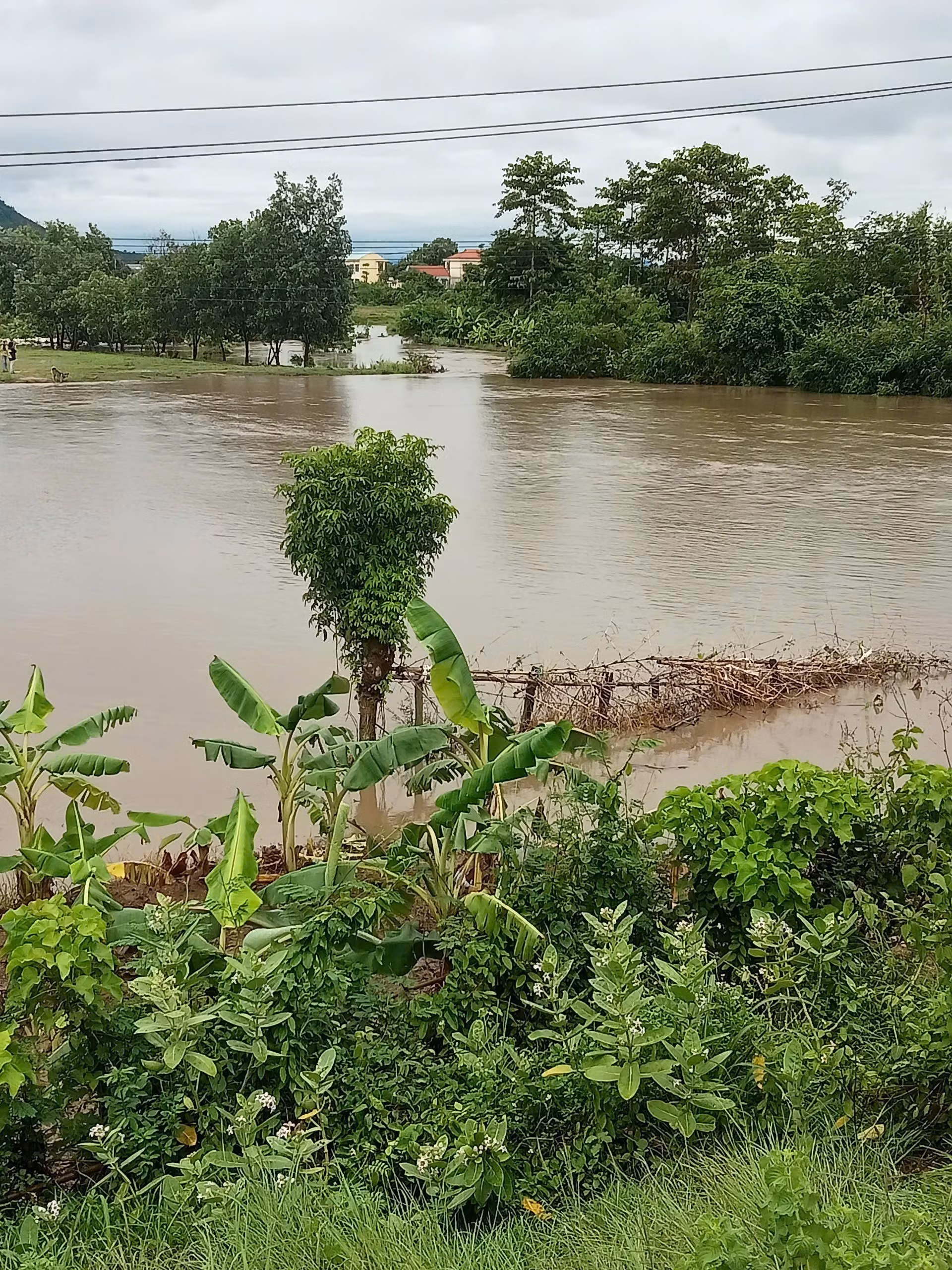 Thôn PeiDu, xã Chư Răng, huyện Ia Pa, tỉnh Gia Lai, bị ngập cục bộ sau cơn mưa lớn từ chiều 10/6/2025. Ảnh: TTXVN phát