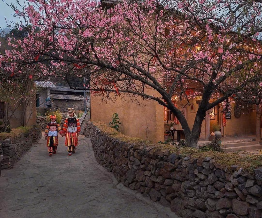 mai-anh-dao04-2512.jpg
