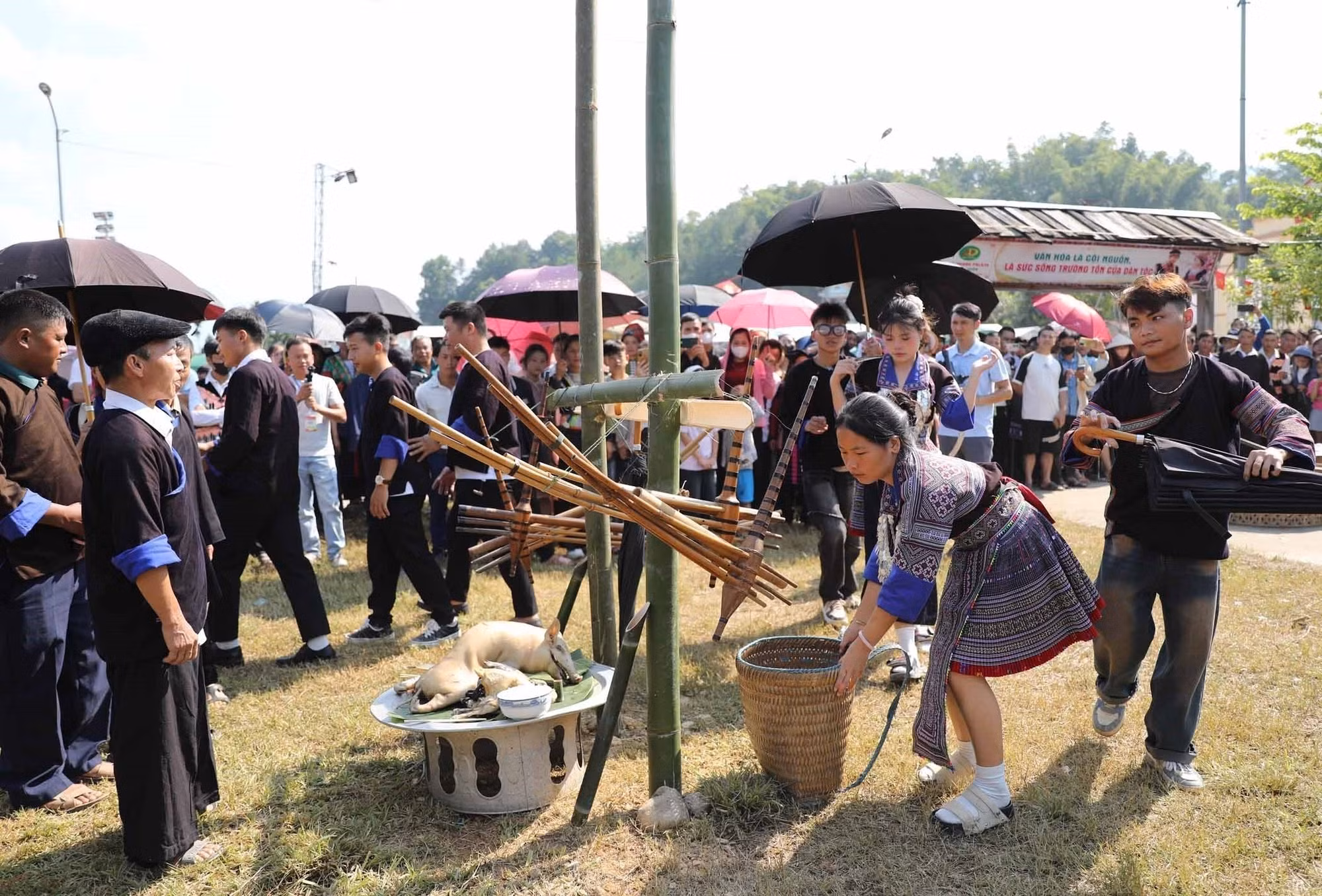 gau-tao2-0209.jpg
