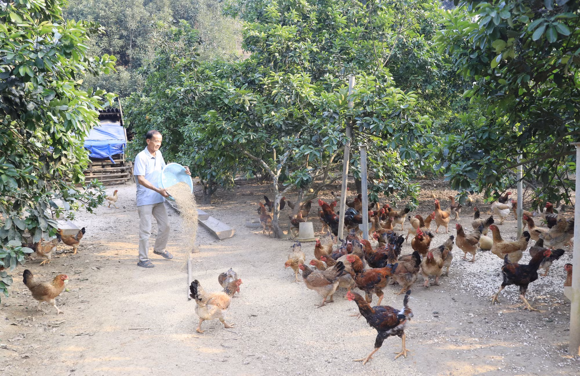 lao-cai4-0904.jpg