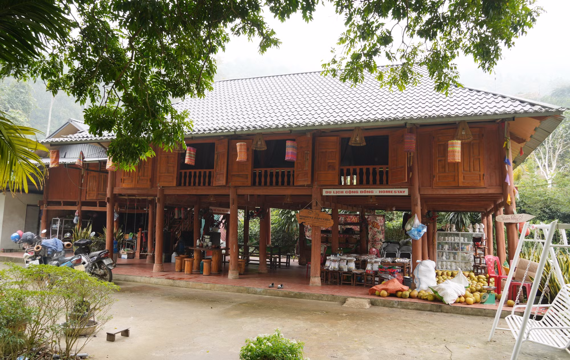 thai-nguyen-020226.jpg