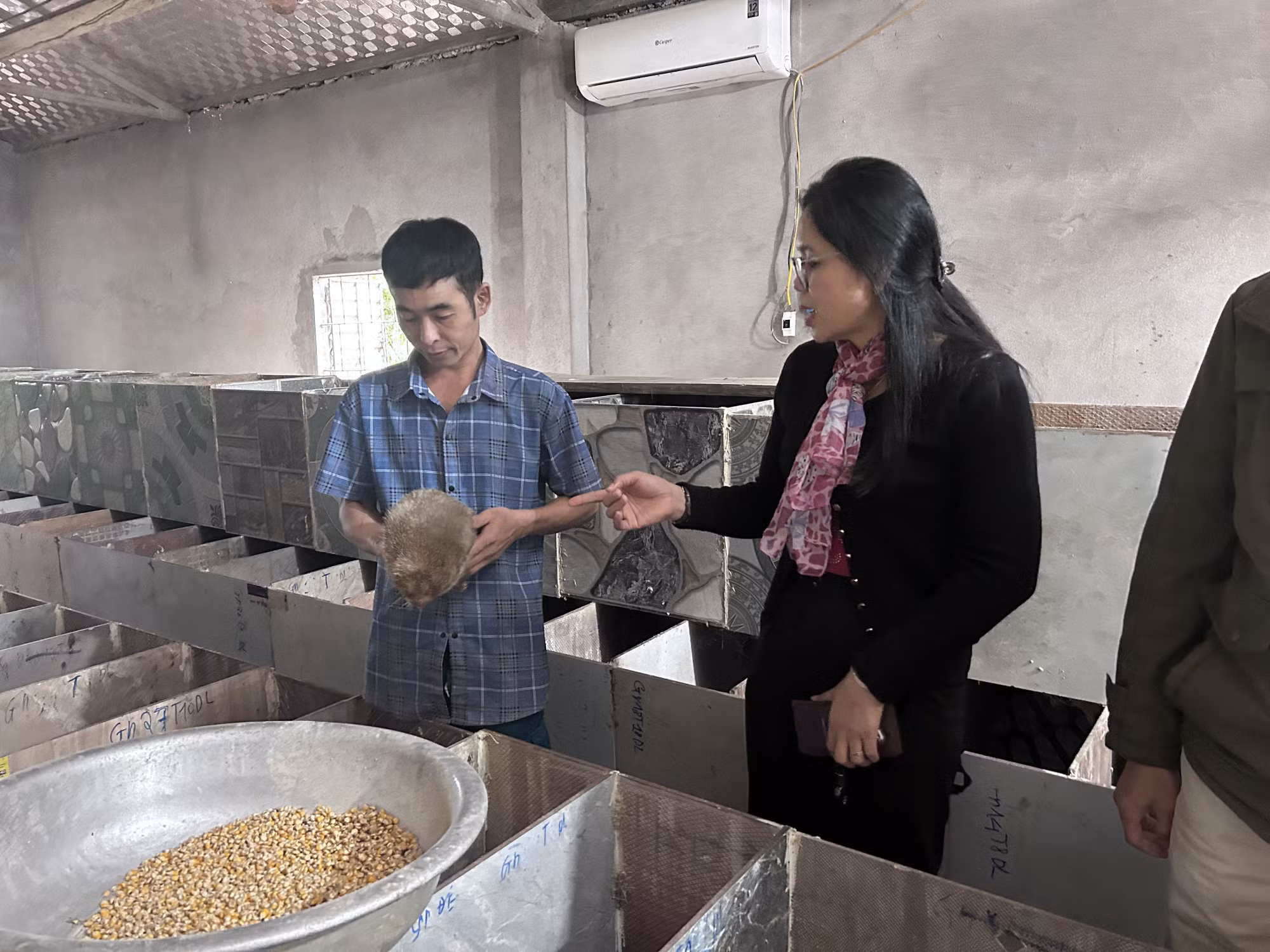 Chuồng nuôi của gia đình anh Lộc Văn Trung, bản Yên Hòa, xã Môn Sơn.