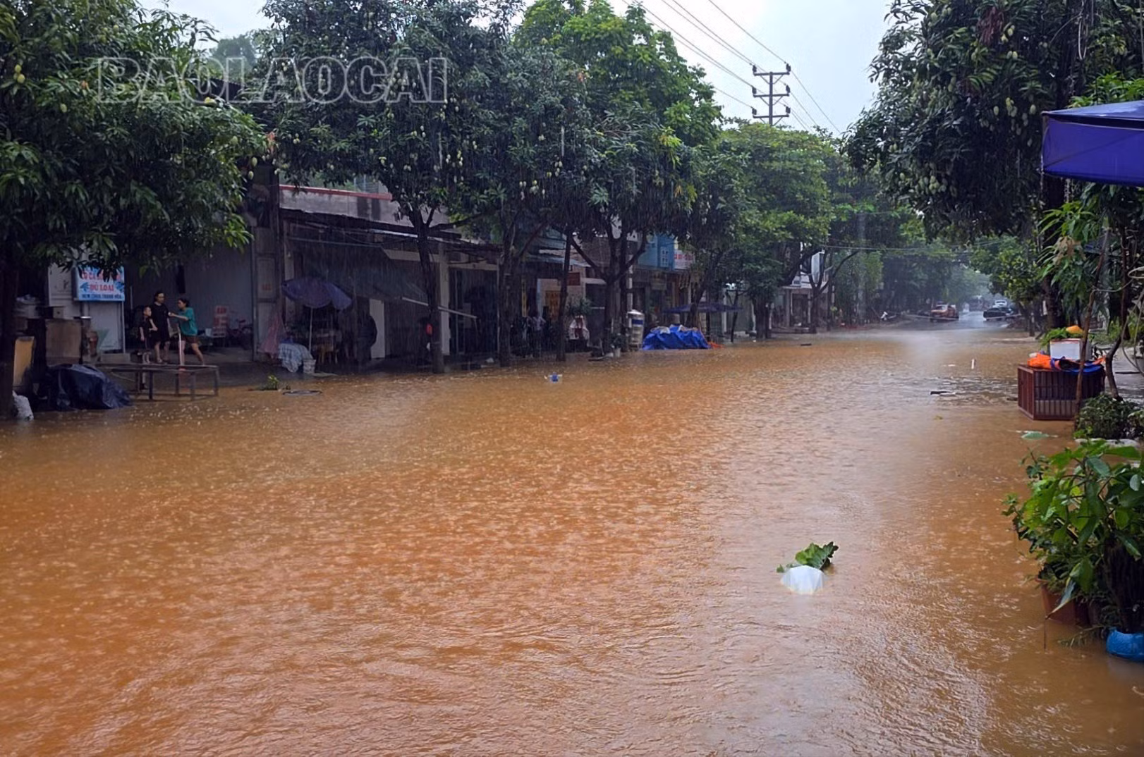 lao-cai-270625.jpg
