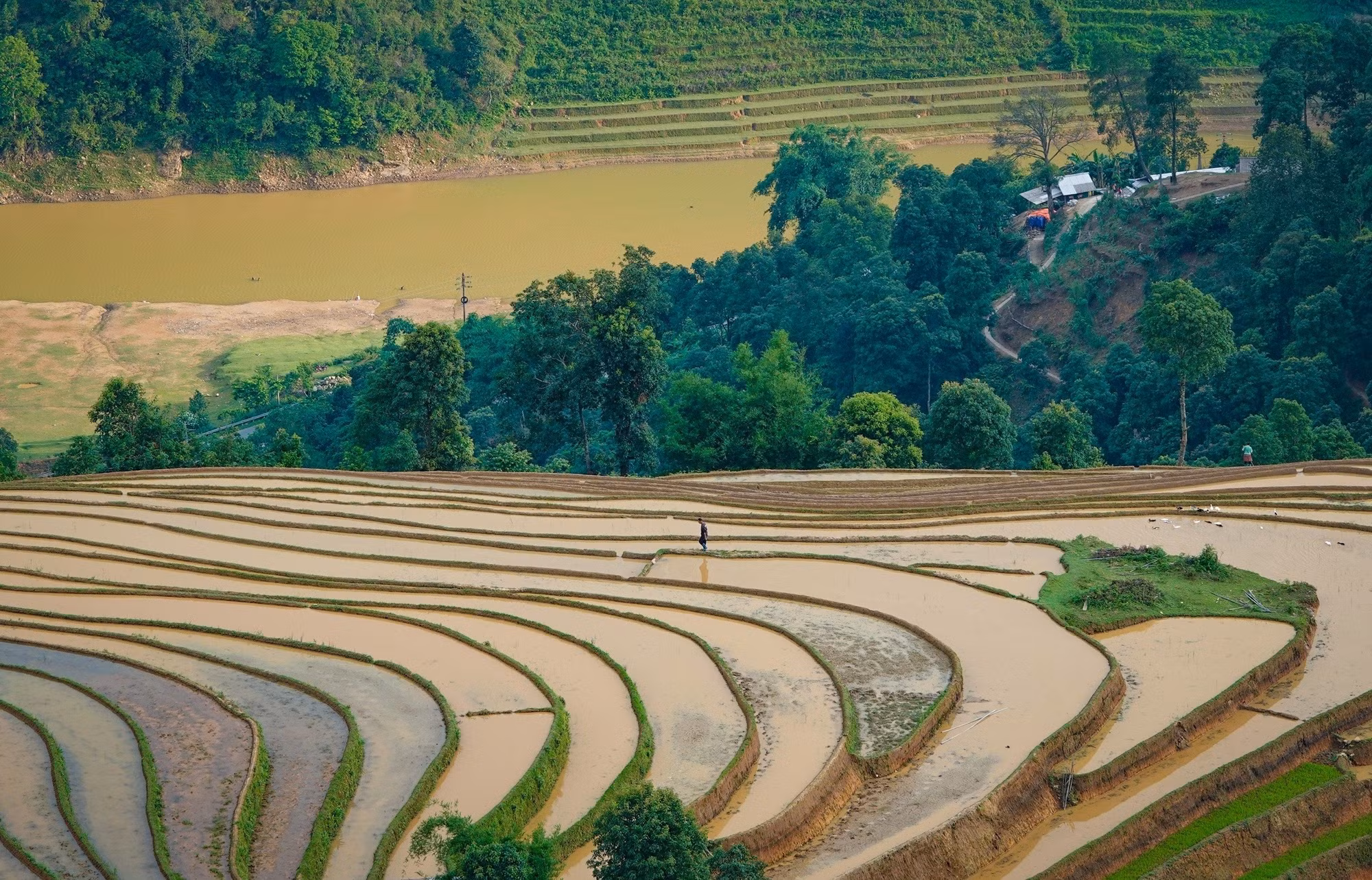 mu-cang-chai11-2506.jpg