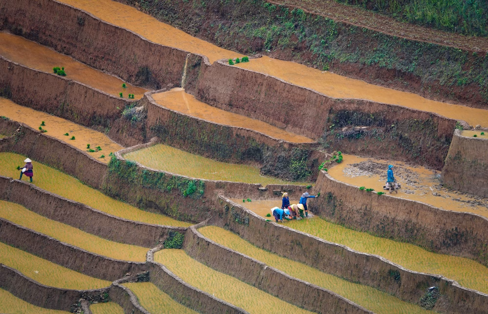 mu-cang-chai2-2506.jpg