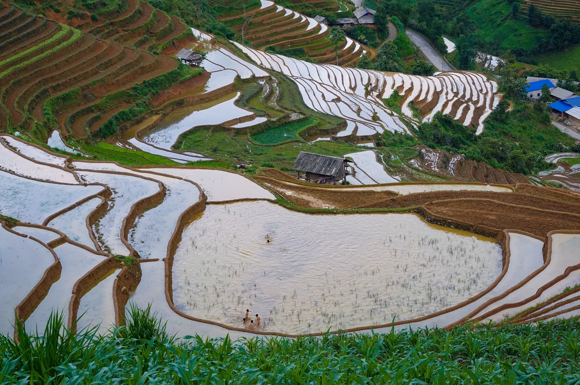 mu-cang-chai8-2506.jpg
