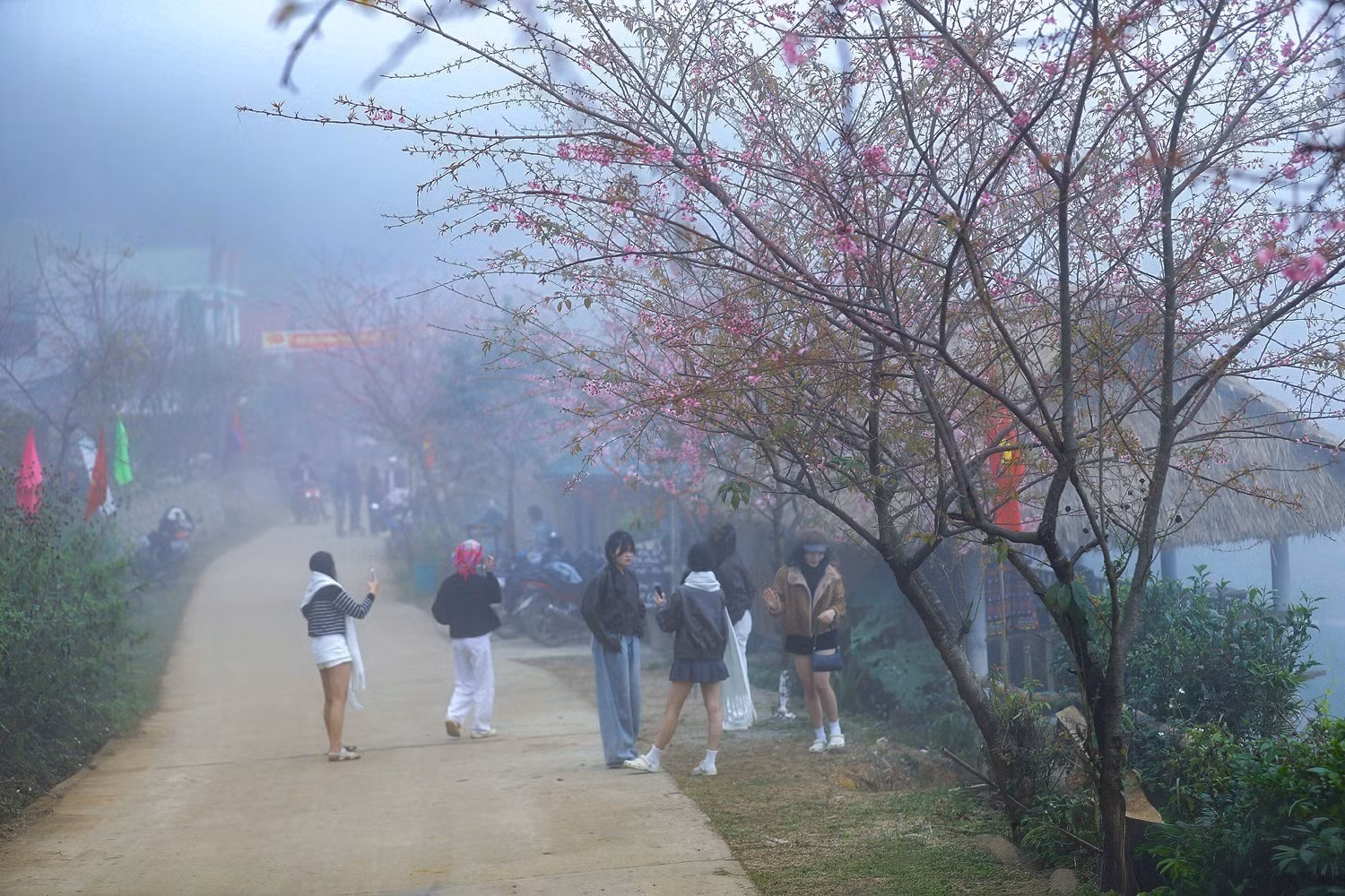 anh-dao11-2701.jpg
