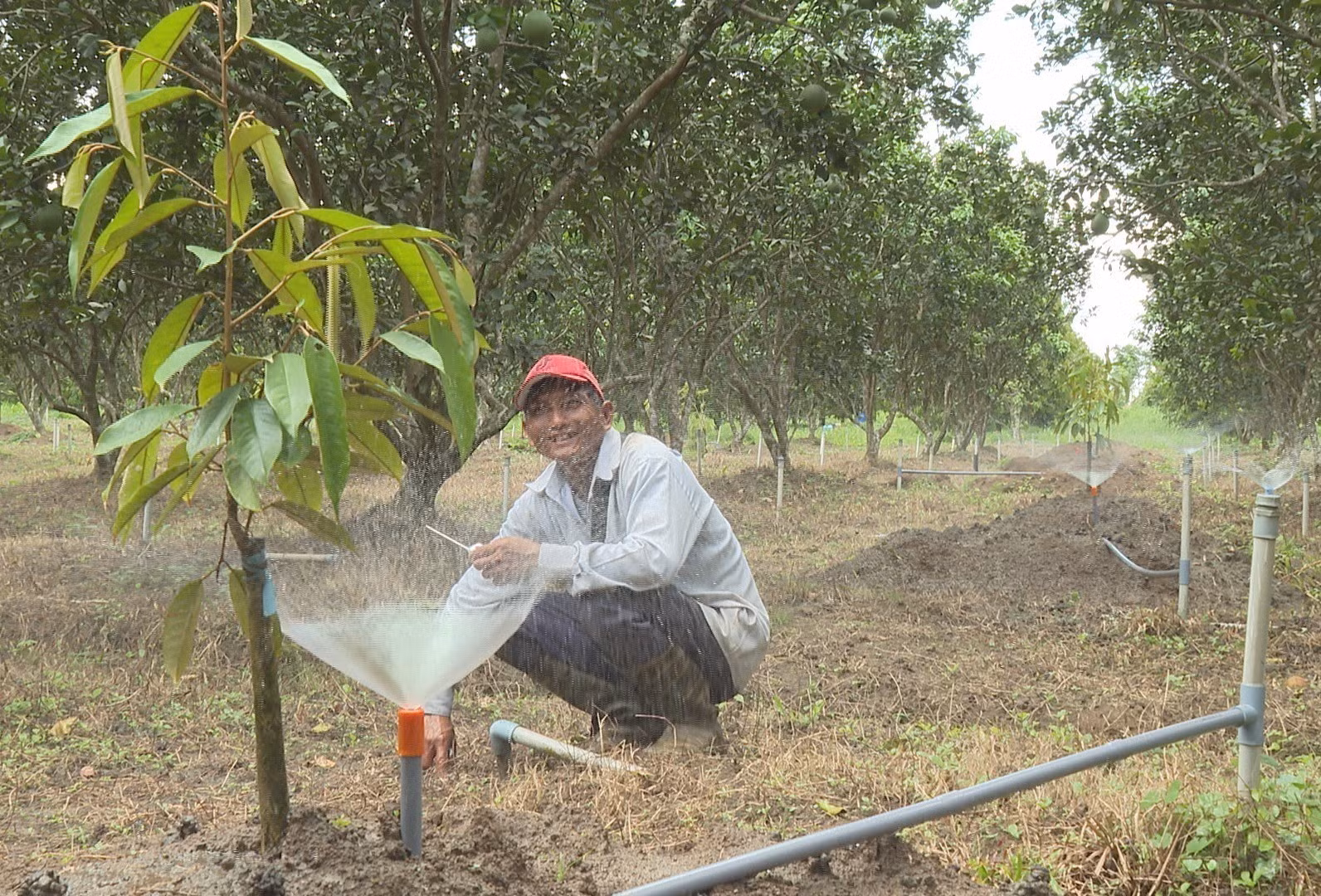Áp dụng công nghệ và kỹ thuật hiện đại giúp gia đình anh Lâm Poch ở ấp Sóc Lớn, xã Lộc Hưng, tỉnh Đồng Nai, sản xuất hiệu quả.