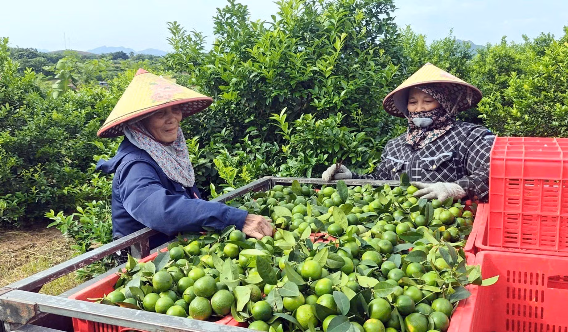 tuyen-quang3-1308.jpg