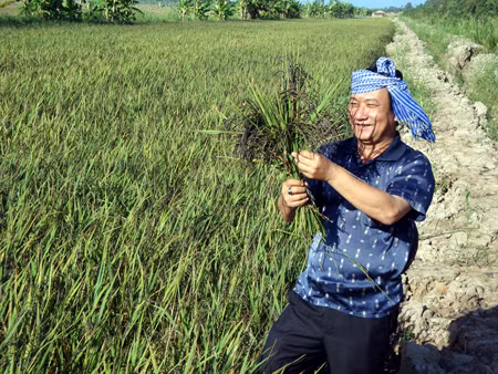 Doanh nghiệp tập trung phát triển chuỗi cung ứng hàng hóa ảnh 1