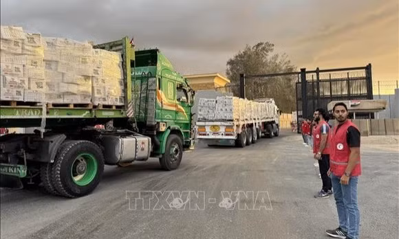 Hội đồng Hòa bình phản đối đình chỉ đưa hàng thương mại vào Gaza