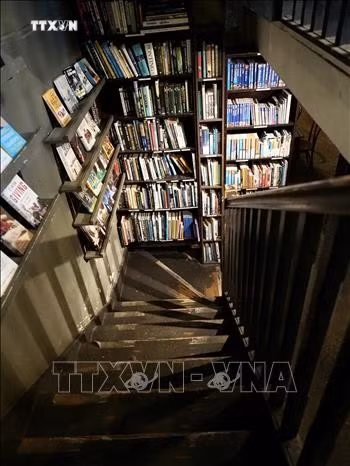 Cầu thang gỗ với các kệ trưng bày nhiều loại sách.