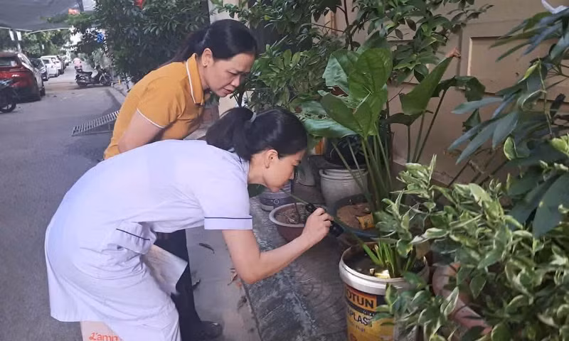 Hà Nội ghi nhận thêm hàng trăm ca mắc sốt xuất huyết, tay chân miệng