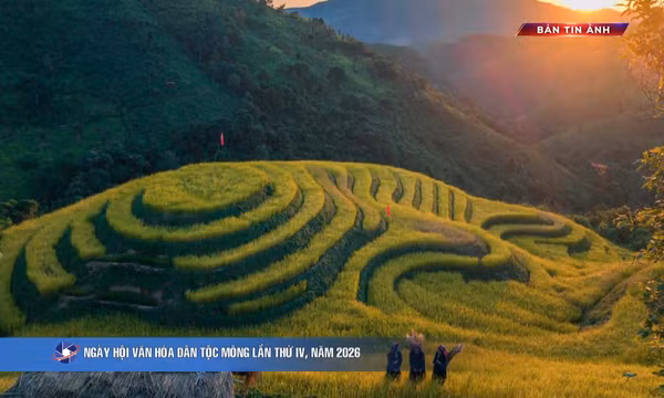 Bản tin ảnh chiều 11/10