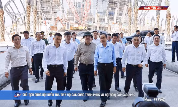 Bản tin ảnh chiều 25/10