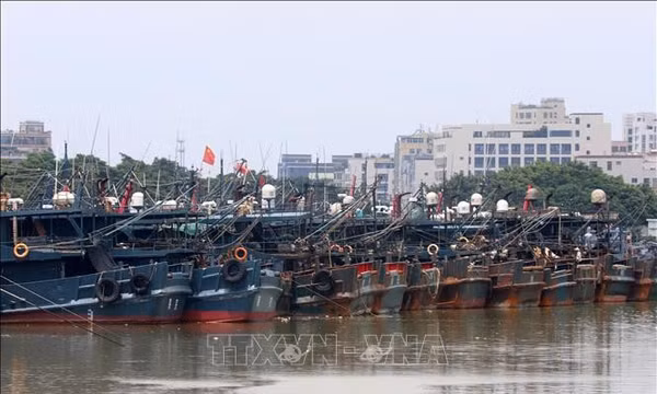 Đài Loan tăng cường ứng phó với bão Podul, sơ tán trên 5.500 người