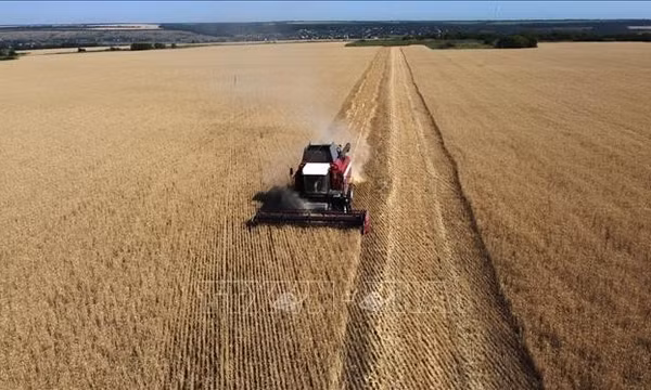 Kinh tế Ukraine hồi sinh bất ngờ, Mỹ chuyển hướng từ viện trợ sang đầu tư chiến lược